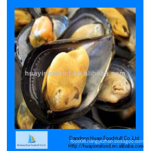 Cooked frozen half shell mussel